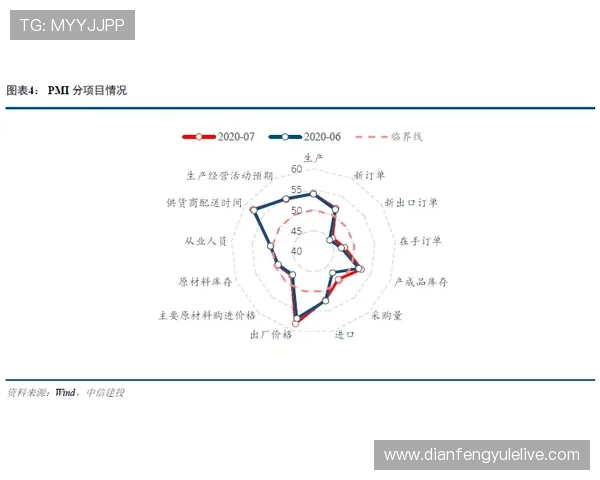 布伦特福德俱乐部发展历程与未来战略全方位解析