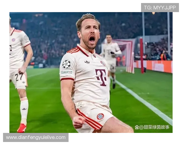 拜耳勒沃库森足球俱乐部：德国足球劲旅的崛起与辉煌历史